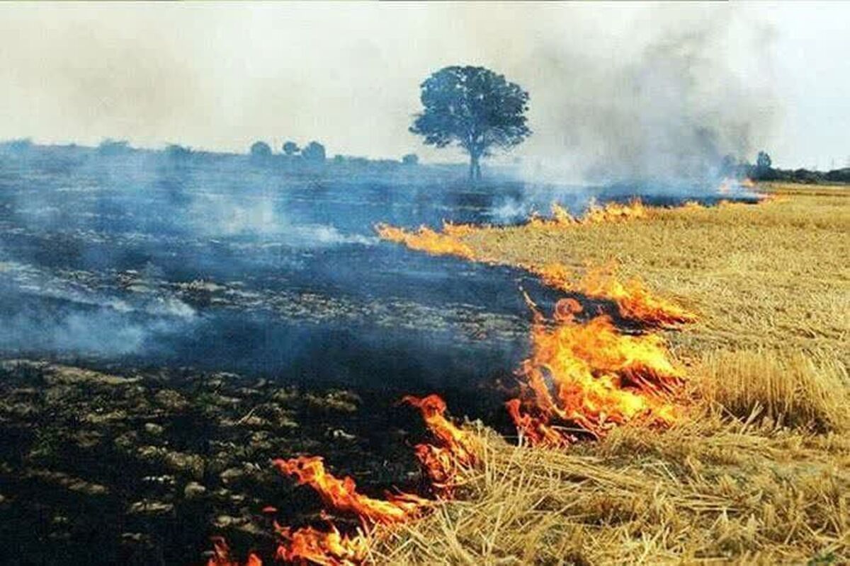 ۹۰ درصد آتش‌سوزی‌ها کار انسان است