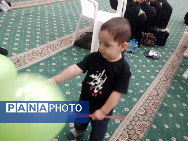 جشن بزرگ بانوان علوی در شهر بیرجند