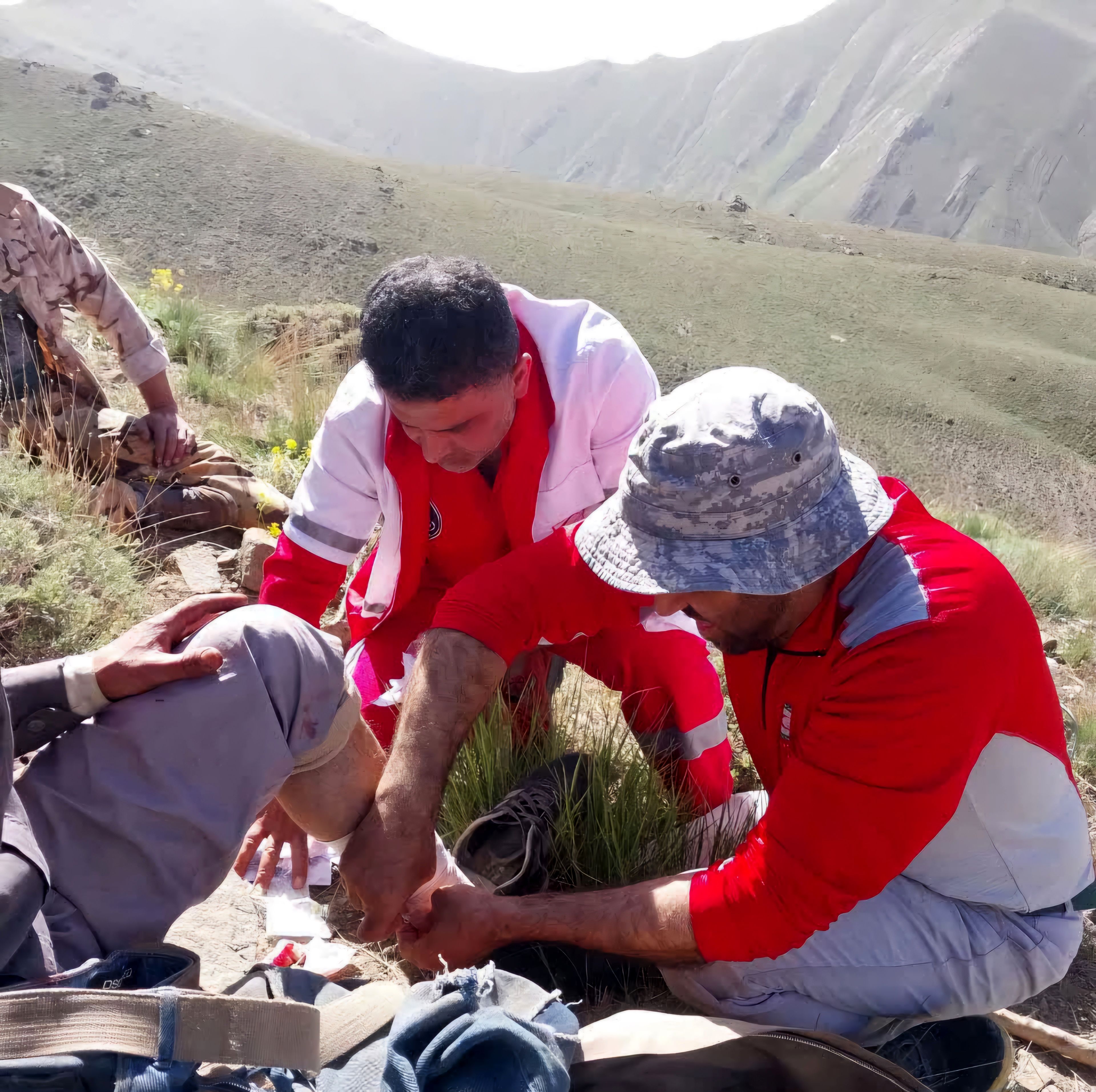 حمله یک قلاده خرس به شهروند بلده‌ای