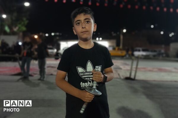 از کربلا تا ایران؛ عزاداران حسینی با پرچم ایران، پیام وحدت و استقامت را فریاد زدند