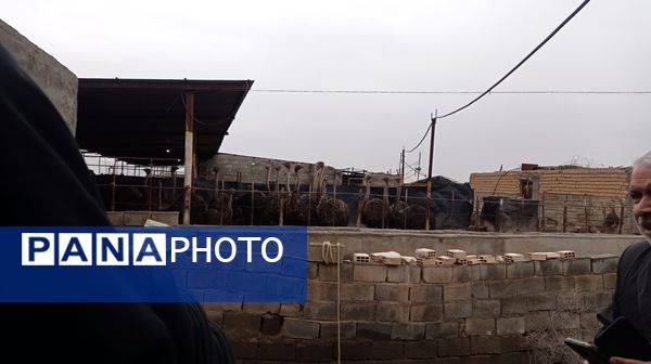 اردو راهیان پیشرفت در خلیل آباد