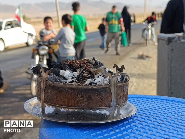 امامزاده علی بن احمد میزبان عاشقان حسینی