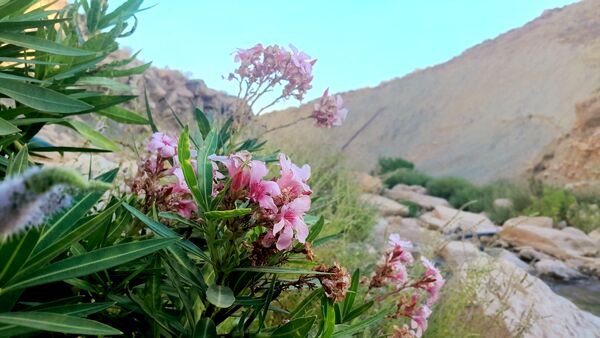 روستای برد‌زرد نگینی غریب در شهرستان لنده