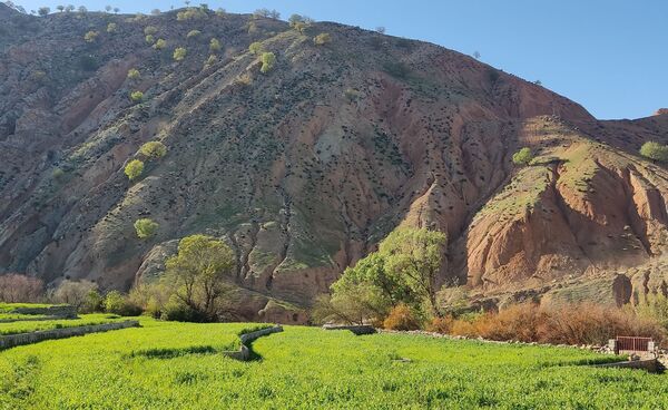 طبیعت روستای بارز، طبیعتی زیبا در دل استان چهارمحال‌وبختیاری 