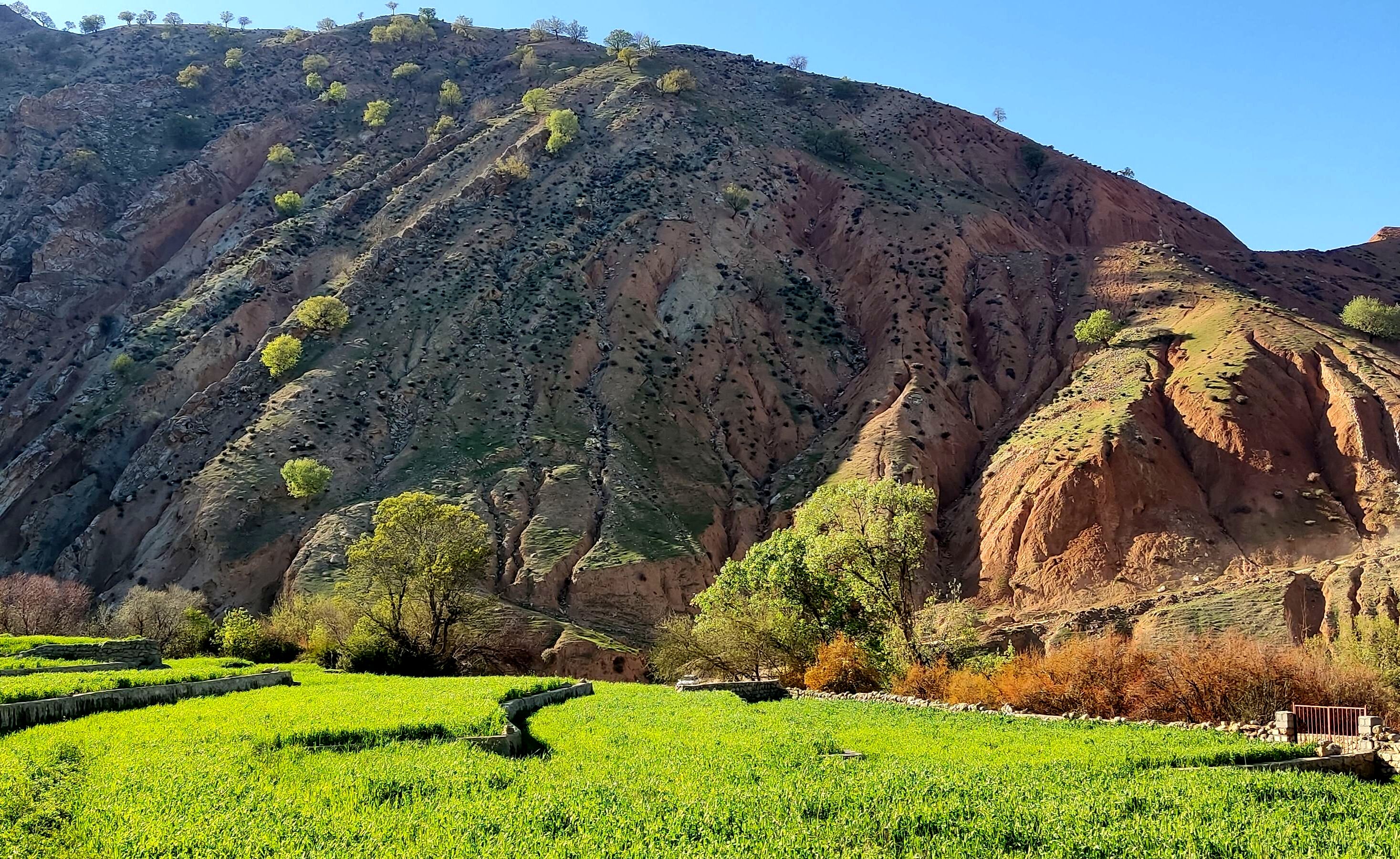 طبیعت روستای بارز، طبیعتی زیبا در دل استان چهارمحال‌وبختیاری 
