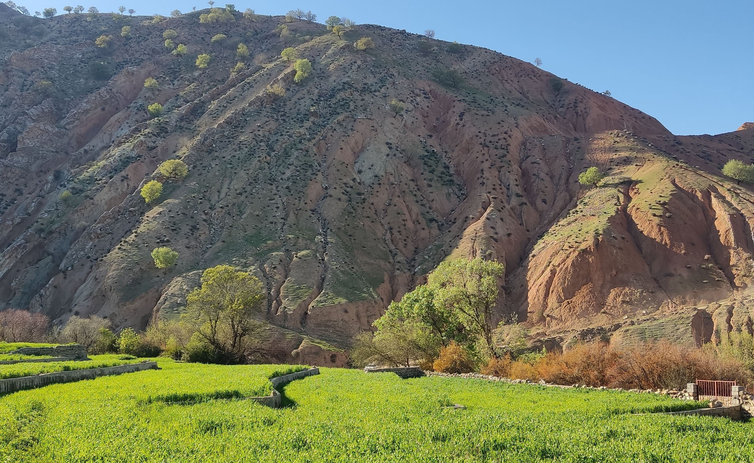 طبیعت روستای بارز، طبیعتی زیبا در دل استان چهارمحال‌وبختیاری 