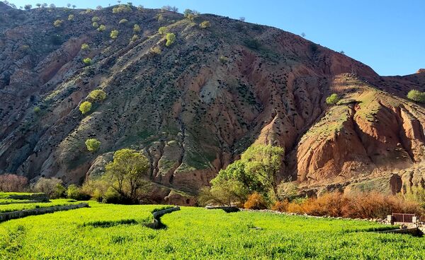 طبیعت روستای بارز، طبیعتی زیبا در دل استان چهارمحال‌وبختیاری 