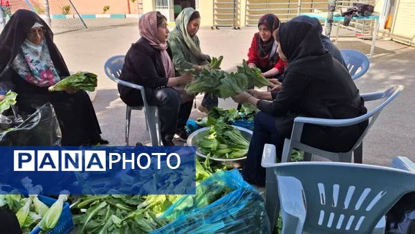 برگزاری جشنوارهٔ کاهو و سکنجبین در دبستان پسرانهٔ پاسداران یزد