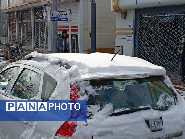 برف میهمان کاشمر شد