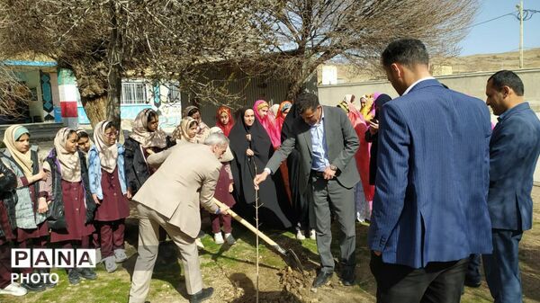 کاشت نهال در مدرسه خدیجه کبری شلمزار