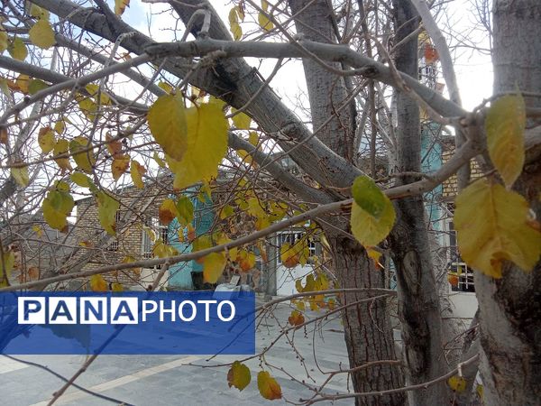 آرامگاه امامزاده سید سلطان حقیق نگین معنوی جلگه رخ 