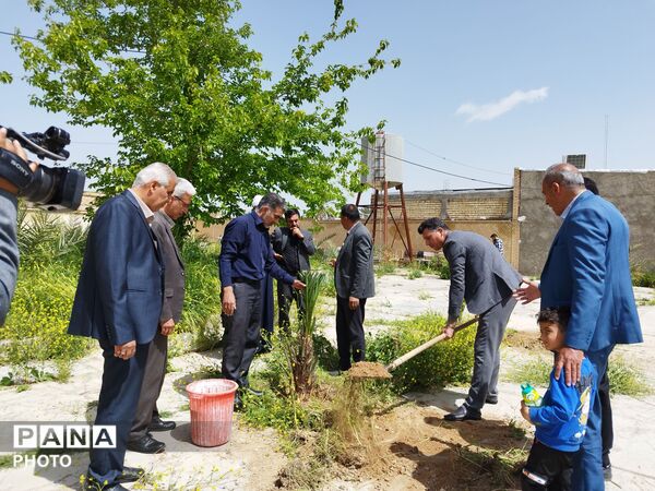 ۴ اصل نخل؛ نماد پاسداشت شهیدان و همدلی در منطقه شیب‌کوه 