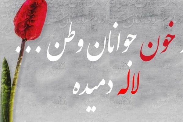 سربازان بی‌ادعا، قهرمانان ابدی 