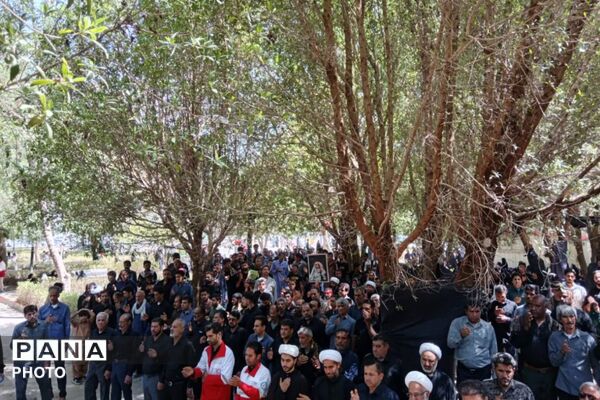 دلدادگان حسینی در سوگ علمدار کربلا گریستند