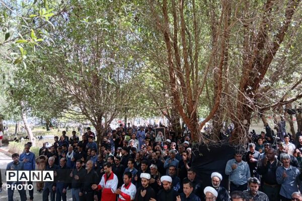 دلدادگان حسینی در سوگ علمدار کربلا گریستند