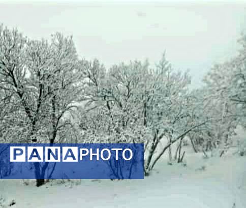 میانکوه در تسخیر برف 