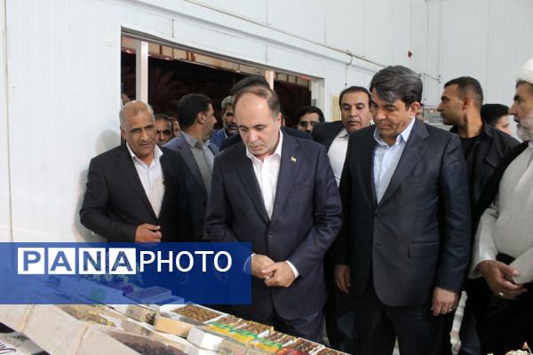 از شنیدن صدای کشاورزان «طرز» تا بازدید از زنجیره ارزش خرمای شرق کرمان