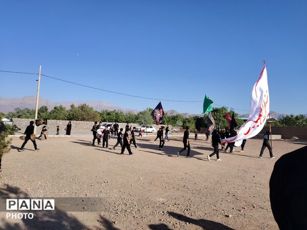 نخل‌برداری روز عاشورا در روستای صالح آباد شهرستان تفت