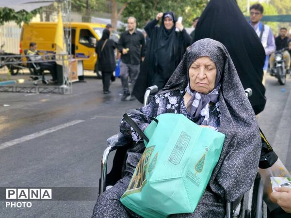 روایت حضور عاشقان حسینی در مسیر دلدادگی