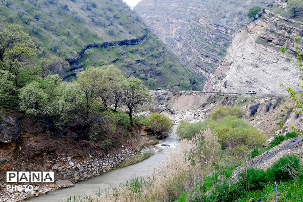 طبیعت دِراز‌رود؛ زیباترین تابلوی سبز لردگان