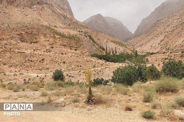 ارتفاعات شهر بار ذخیره‌گاه گیاهان دارویی کمیاب-۱
