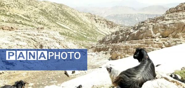  سرزمین عشق در دل سختی‌ها