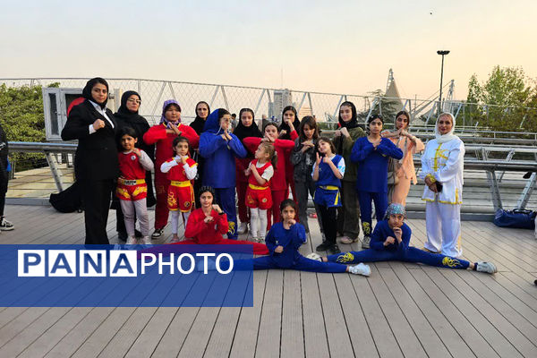 همایش بزرگ ووشو به‌مناسبت هفته تربیت‌بدنی در تهران