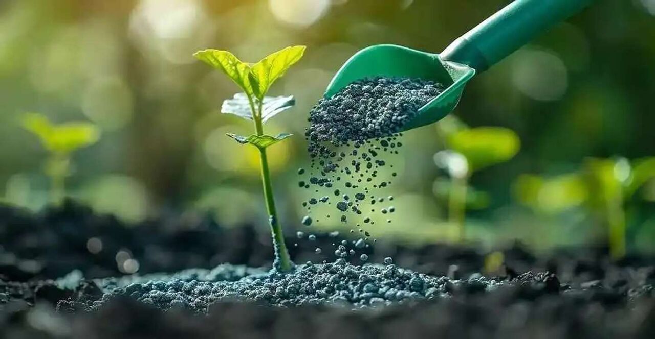 توزیع گسترده ۵۷ هزارکیسه کود اوره یارانه‌ای دراستان تهران