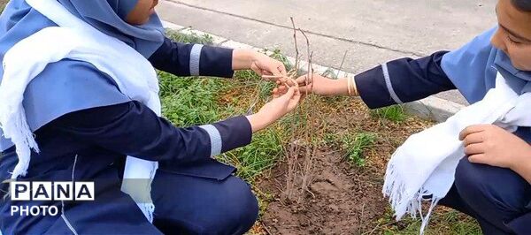 درختی برای زندگی؛ یادواره‌ای برای شهدا