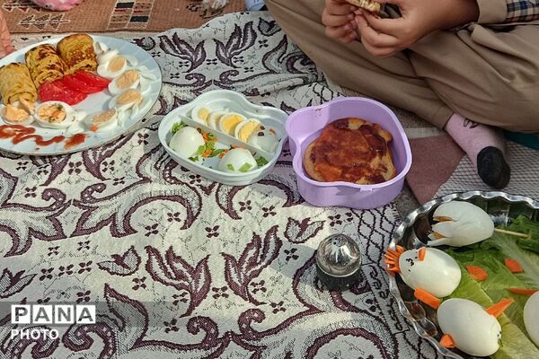 صبحانه سلامت در روز جهانی تخم مرغ