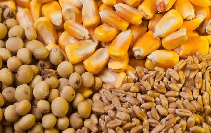 مطالبات واردکنندگان نهاده‌های کالاهای اساسی در کارگروه وزارت اقتصاد بررسی می‌شود