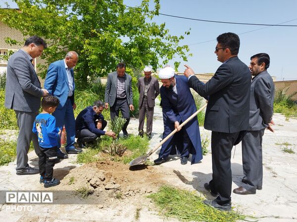 ۴ اصل نخل؛ نماد پاسداشت شهیدان و همدلی در منطقه شیب‌کوه 