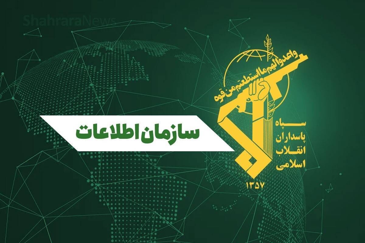  239 تروریست بازداشت شدند