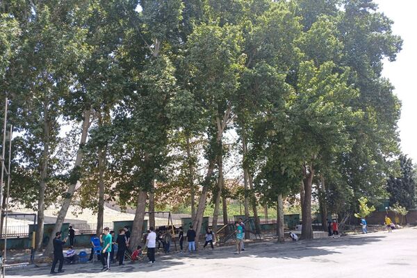 اردوی مثبت هشتادی‌ها در ناحیه 2 شهرری 