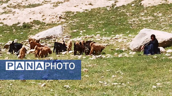 مسیر قارون تا قلعه مدرسه در واپسین لحظه‌های بهار