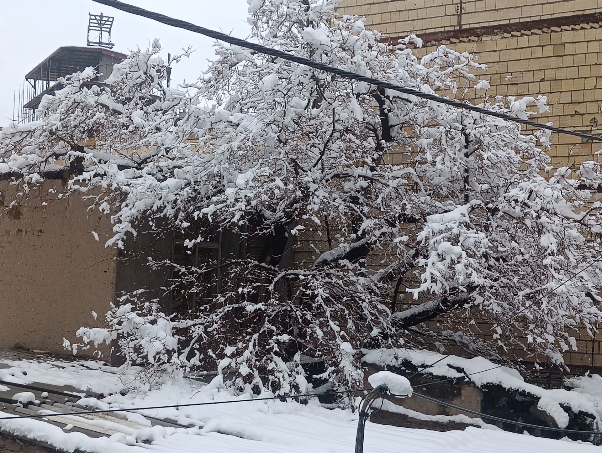 اولین برف زمستان؛ نجات زمینِ خشکیده