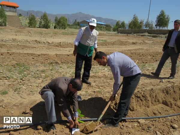 آیین "درخت سرو ایران" در شهرستان خلیل آباد 