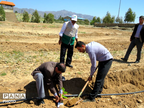 آیین "درخت سرو ایران" در شهرستان خلیل آباد 
