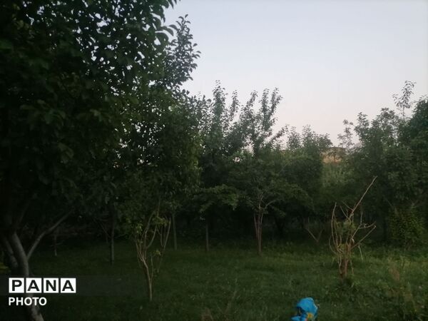 اینبار طبیعت زیبای شهر بار نیشابور در قاب پانا