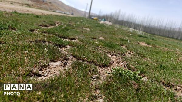 بردنکان؛ یکی دیگر از جاذبه های گردشگری روستای ده‌چشمه