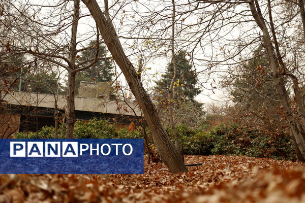 خلوت سرای پاییزی سعدآباد