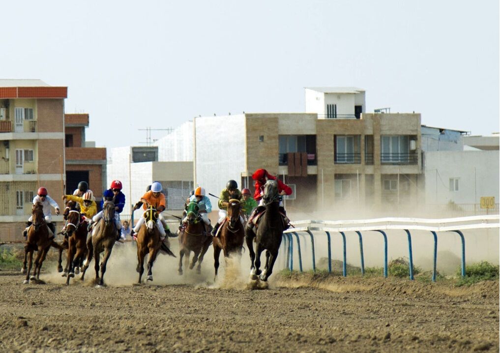 تاخت ۱۳۱ اسب در ایستگاه آخر کورس بهاره گنبدکاووس