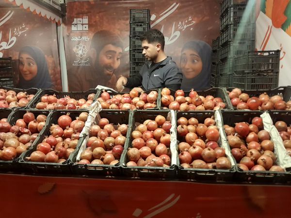طعم و رنگ پاییز در باغ مشهد