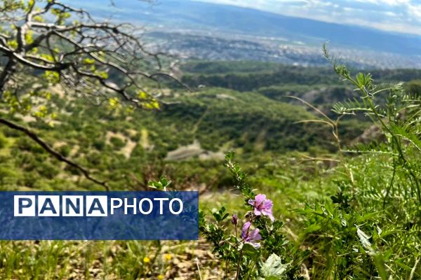 جلوه‌های بهاری طبیعت یاسوج