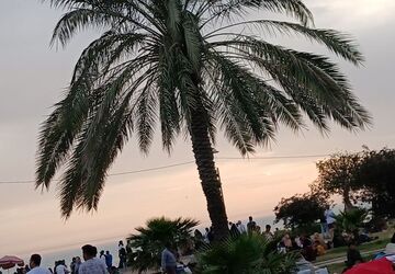 روز طبیعت در بوشهر