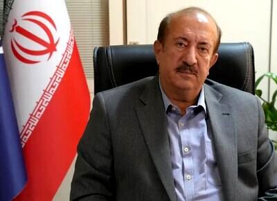عرضه و واردات خودرو ادامه دارد/ مشکل فولاد و ارز نداریم