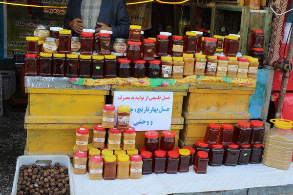 جشنواره عسل کَنِل بندپی شرقی