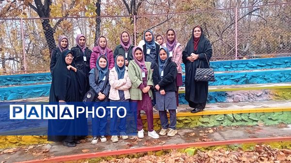 اردوی تمشک در شهرستان شازند 