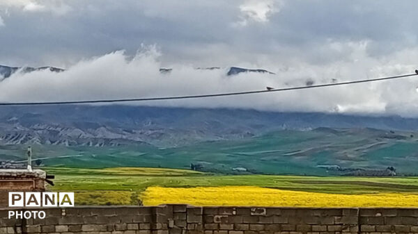نگین سبز زاگرس 