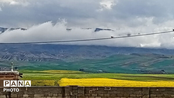 نگین سبز زاگرس 